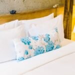 Premium Goose Down Alternative Comforter – All Season